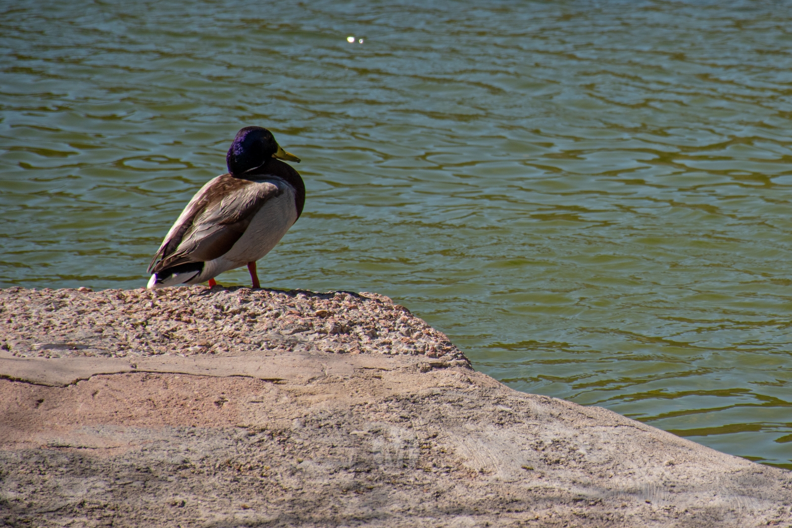 Ruidera sin agobios: el paraíso natural que se disfruta en calma entre semana