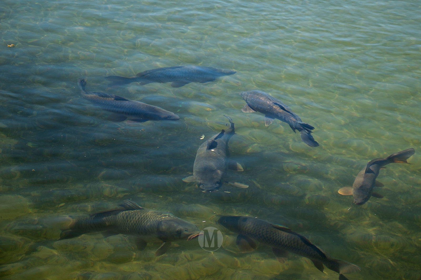Ruidera sin agobios: el paraíso natural que se disfruta en calma entre semana