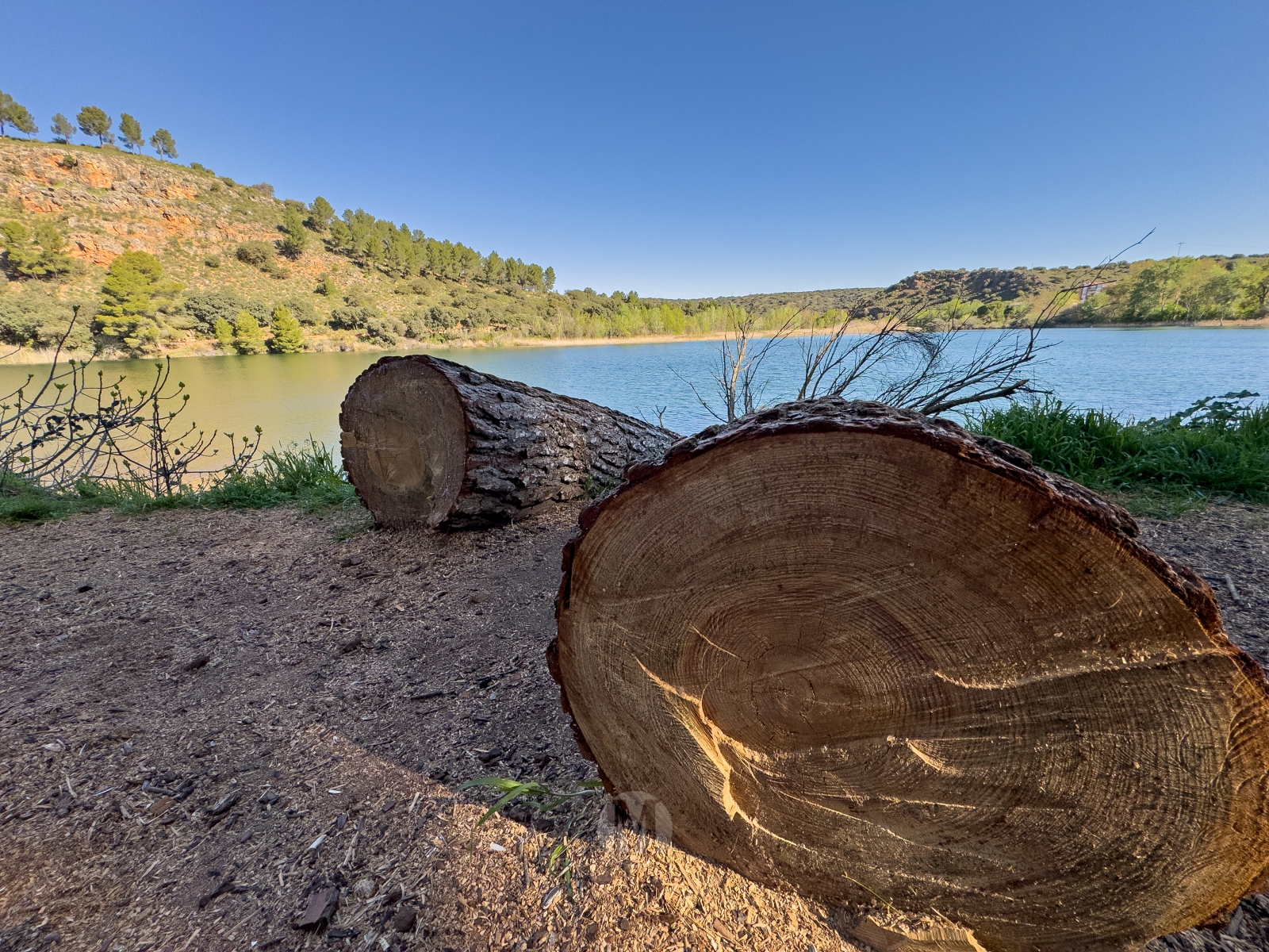 Ruidera sin agobios: el paraíso natural que se disfruta en calma entre semana
