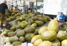 La Mesa de Precios de Melón y Sandía pide prudencia y planificación ante la inestabilidad del mercado