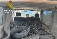 Malagón, epicentro de una red de robo de aceituna: más de 131.000 kilos