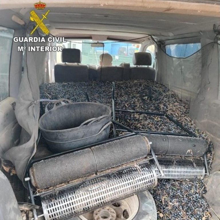 Malagón, epicentro de una red de robo de aceituna: más de 131.000 kilos