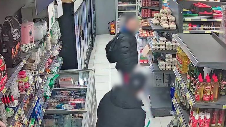 Seseña y La Sagra, escenarios de un grupo que robaba productos caros de farmacias