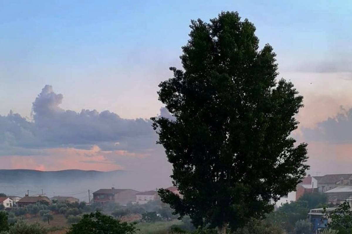 Las Luminarias de Fontanarejo: una tradición de fuego, romero y memoria
