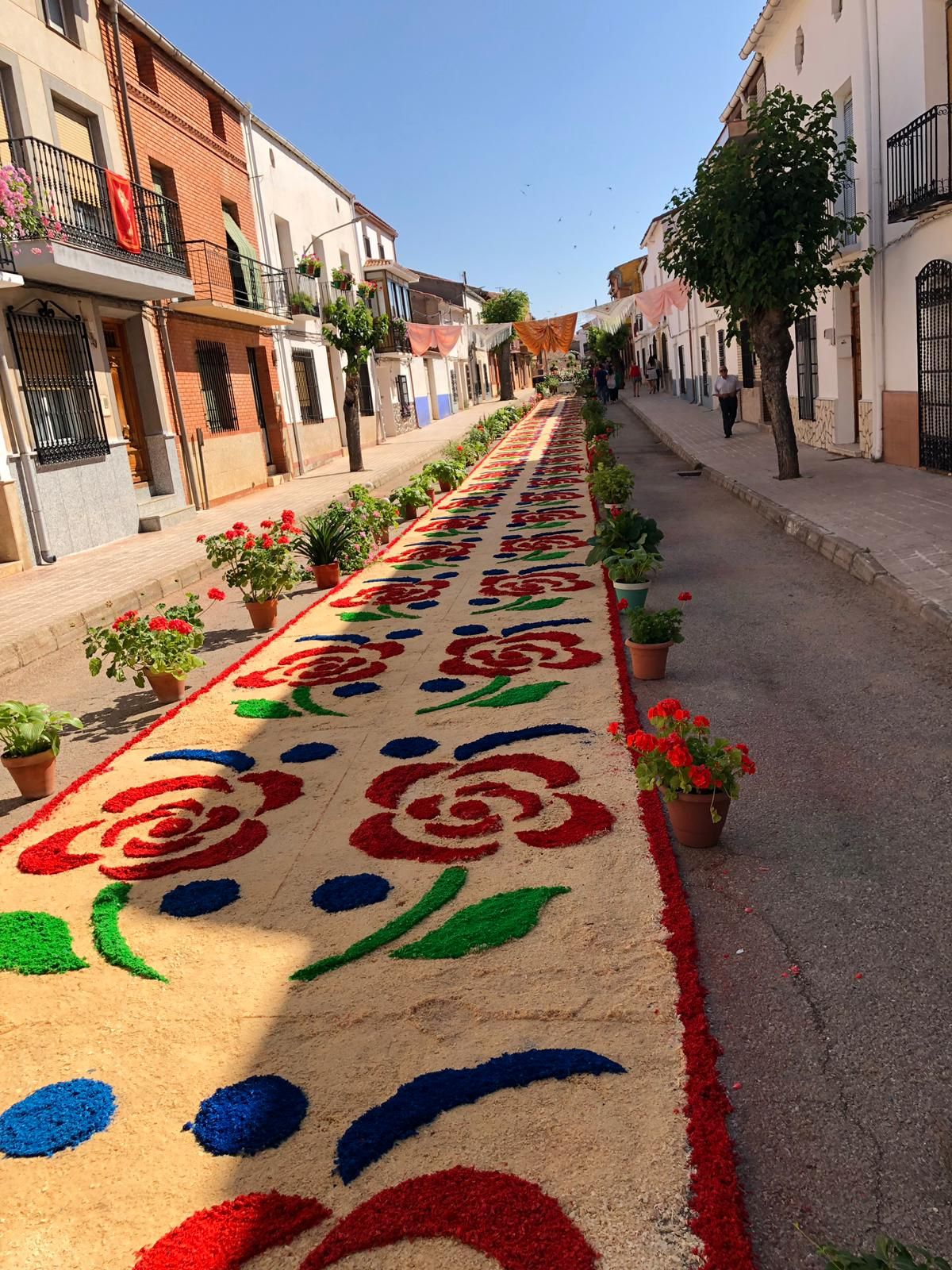 Arte y color en las calles que desaparecen en horas: las alfombras de serrín, alma del Corpus Christi de Castilla-La Mancha
