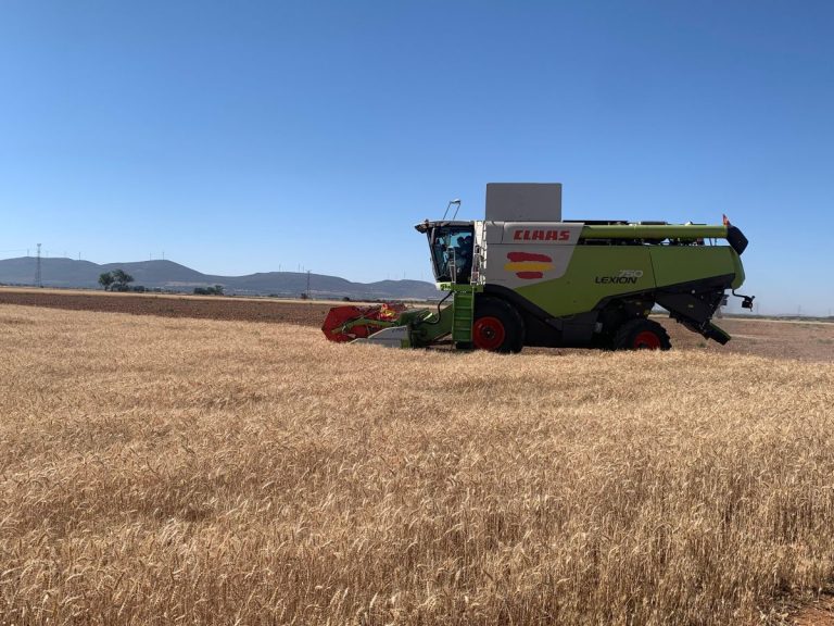La campaña de siega del cereal avanza con rendimientos medios y buena calidad de grano