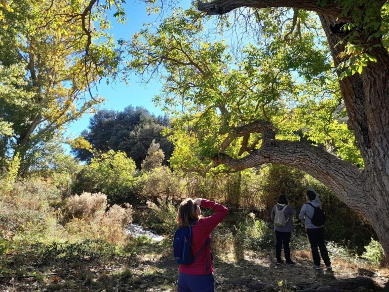 Un juego de escape, rutas y recogida de «basuraleza» por el Día Mundial del Medio Ambiente en C-LM