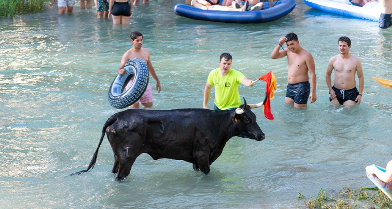 Un río, ocho vacas y miles de visitantes: la peculiar tradición de un pueblo de Guadalajara que cumple 30 años