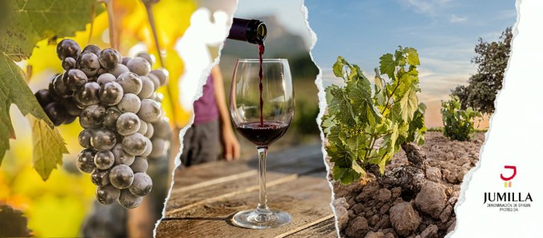 Se buscan técnicos de control de campaña para trabajar en la DOP Jumilla