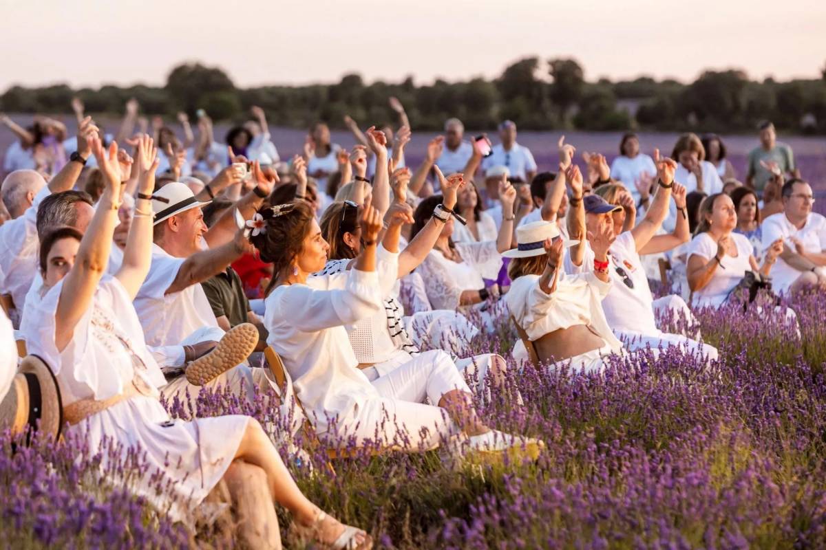 El pueblo de Guadalajara donde la música suena entre campos de lavanda vuelve este fin de semana